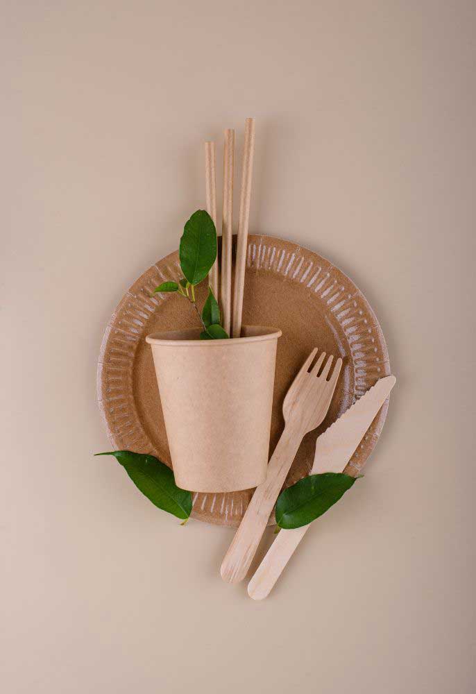 Eco Friendly and Biodegradable Products